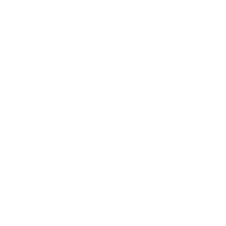 NMI - PayFacto Integrated Solution